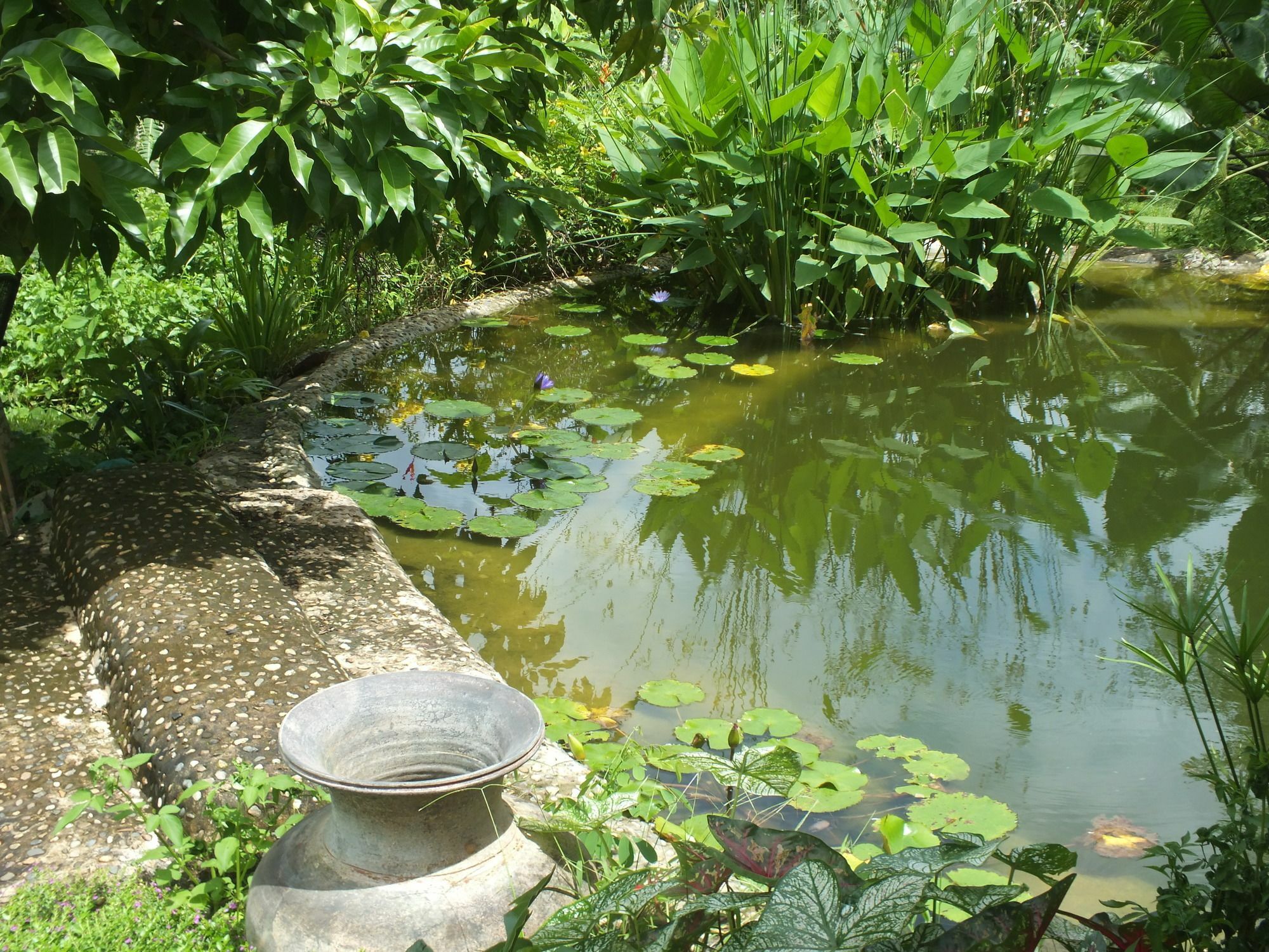 Chiang Dao Roundhouses Extérieur photo